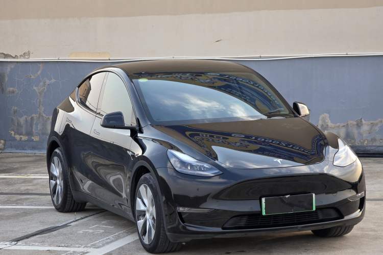 Used Tesla Model Y 2021 Long-Range All-Wheel-Drive Version 3D7 Exterior 6