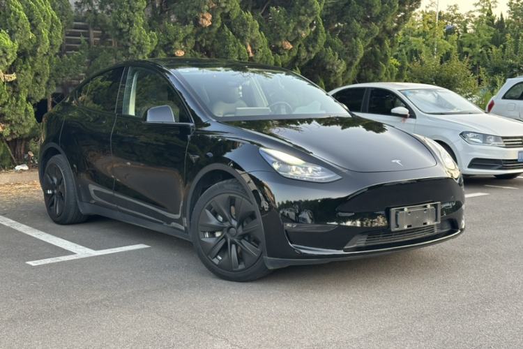 Used Tesla Model Y 2021 Standard Range Rear-Wheel Drive Version Exterior 7