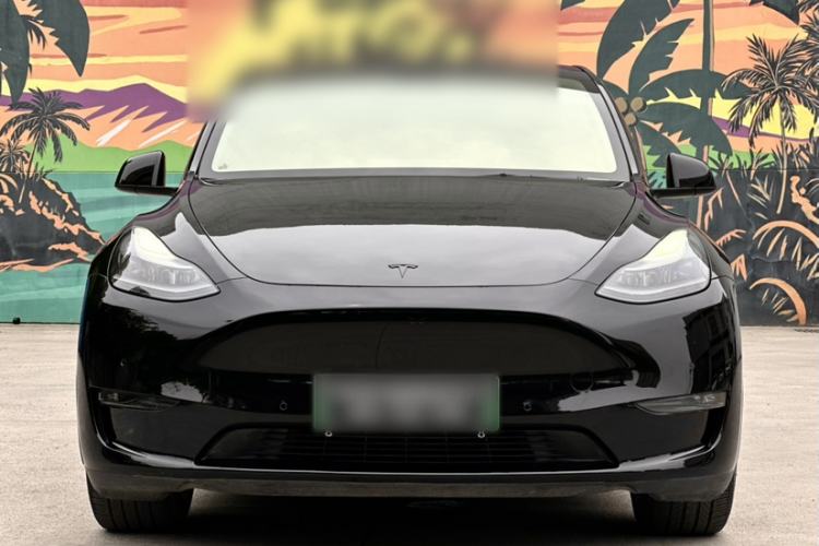 Used Tesla Model Y 2021 Long-Range All-Wheel-Drive Version 3D7 Exterior 7