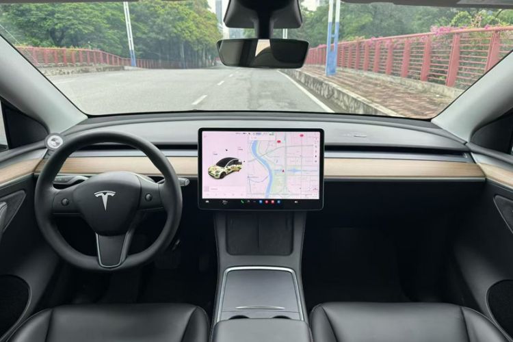Used Tesla Model Y 2021 Standard Range Rear-Wheel Drive Version Exterior 7