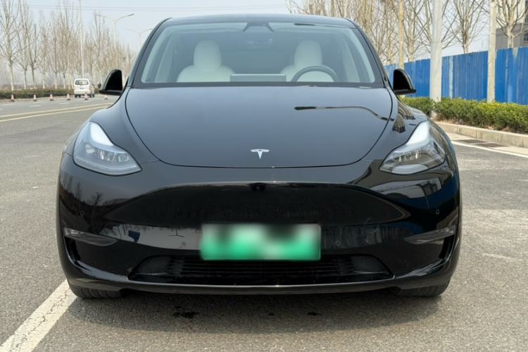 Used Tesla Model Y 2021 Standard Range Rear-Wheel Drive Version Exterior 7