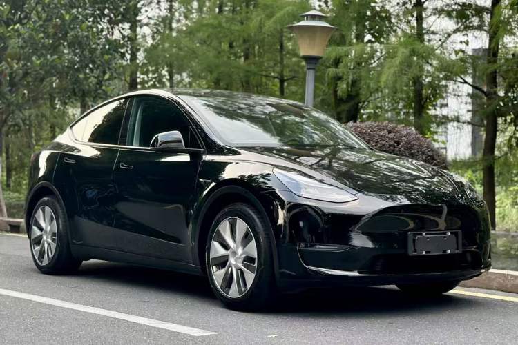 Used Tesla Model Y 2021 Standard Range Rear-Wheel Drive Version Exterior 7
