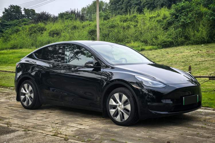 Used Tesla Model Y 2021 Standard Range Rear-Wheel Drive Version Exterior 7