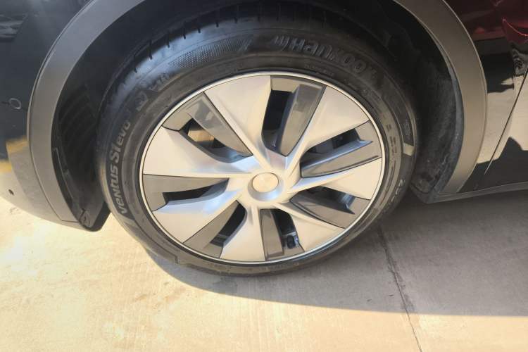 Used Tesla Model Y 2021 Standard Range Rear-Wheel Drive Version Exterior 7