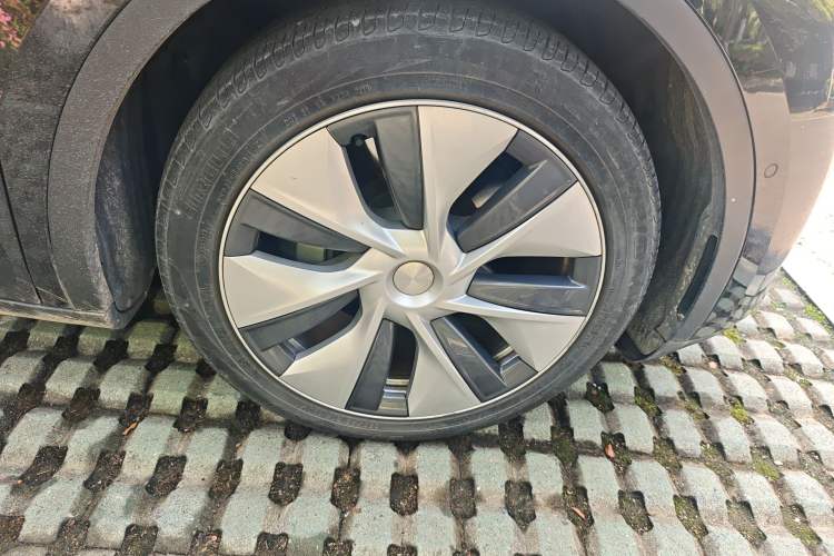 Used Tesla Model Y 2021 Standard Range Rear-Wheel Drive Version Exterior 7