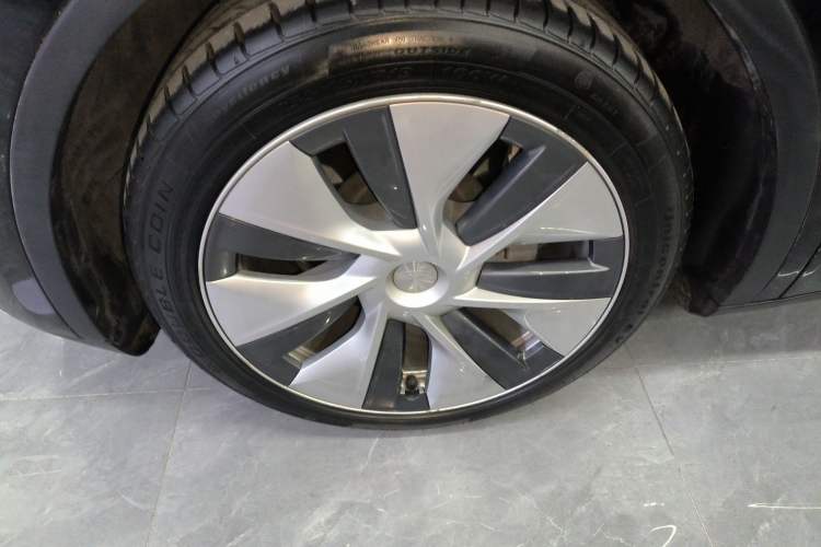 Used Tesla Model Y 2021 Standard Range Rear-Wheel Drive Version Exterior 7