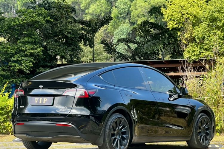 Used Tesla Model Y 2021 Standard Range Rear-Wheel Drive Version Exterior 7