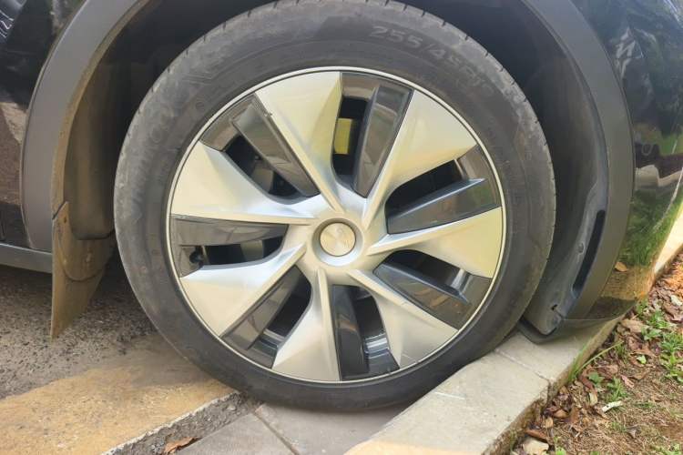 Used Tesla Model Y 2021 Standard Range Rear-Wheel Drive Version Exterior 7