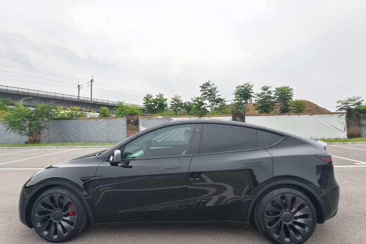 Used Tesla Model Y 2021 Performance High-Performance All-Wheel-Drive Version Exterior 7