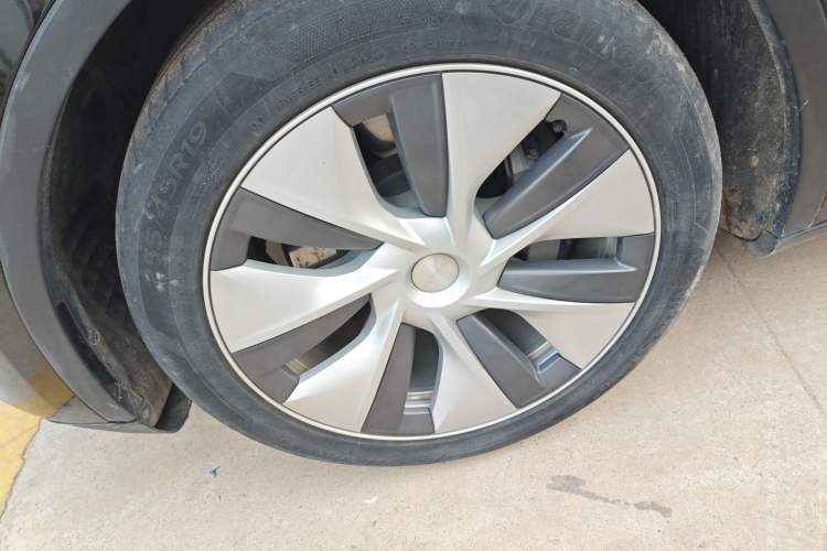 Used Tesla Model Y 2021 Standard Range Rear-Wheel Drive Version Exterior 7