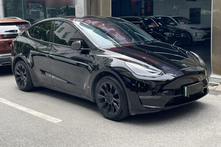 Used Tesla Model Y 2021 Standard Range Rear-Wheel Drive Version Exterior 7