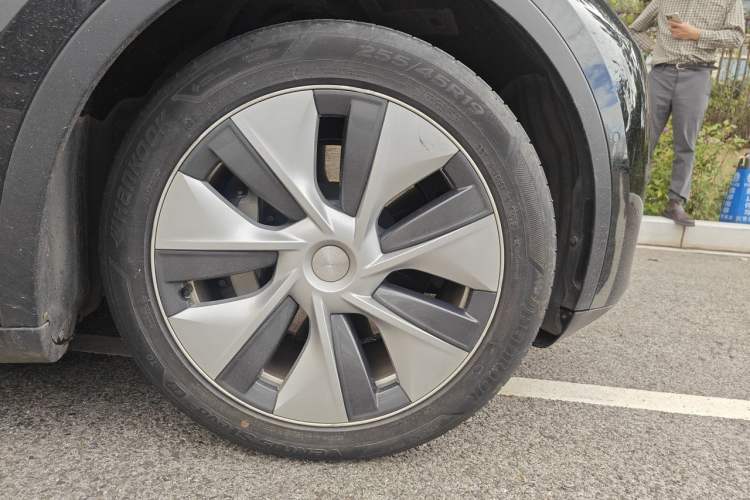 Used Tesla Model Y 2021 Standard Range Rear-Wheel Drive Version Exterior 7