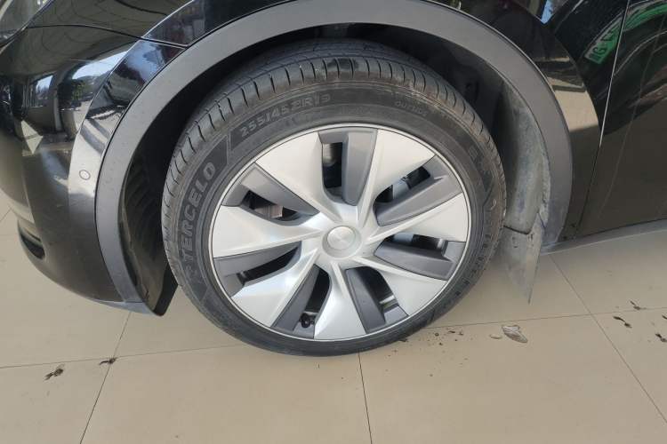Used Tesla Model Y 2021 Standard Range Rear-Wheel Drive Version Exterior 7