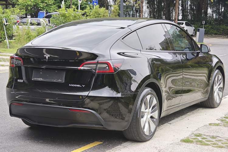 Used Tesla Model Y 2021 Standard Range Rear-Wheel Drive Version Exterior 7