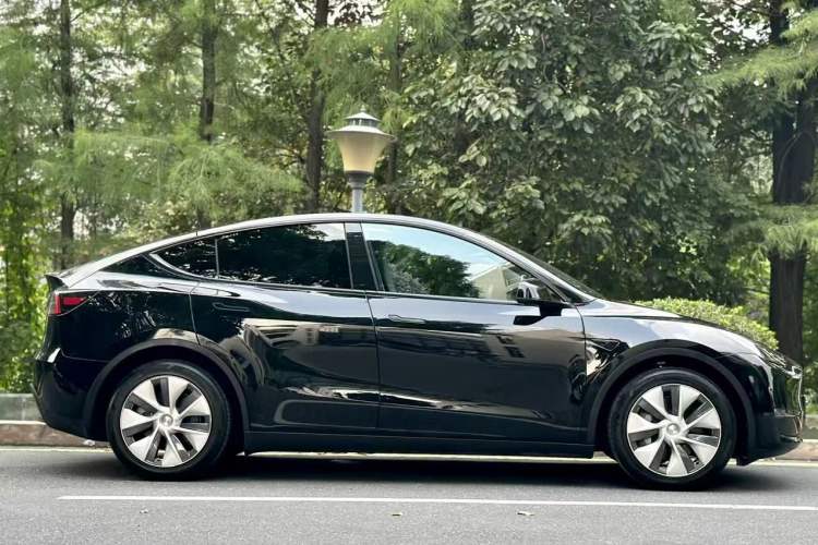 Used Tesla Model Y 2021 Standard Range Rear-Wheel Drive Version Exterior 8