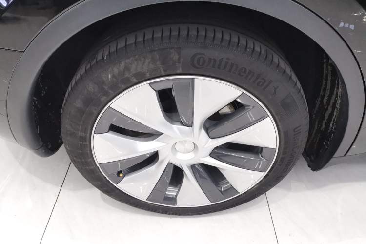 Used Tesla Model Y 2021 Long-Range All-Wheel-Drive Version Exterior 8