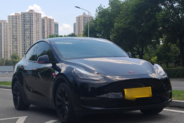 Used Tesla Model Y 2021 Standard Range Rear-Wheel Drive Version Exterior 8