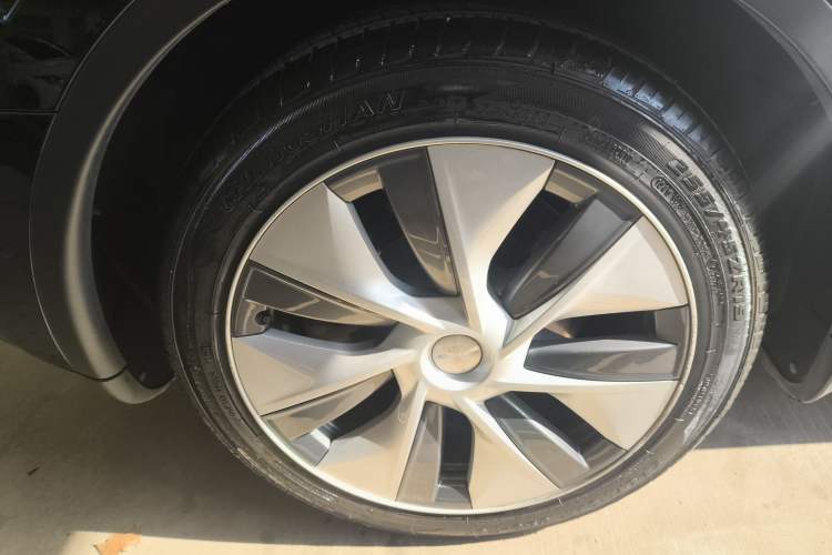 Used Tesla Model Y 2021 Standard Range Rear-Wheel Drive Version Exterior 8
