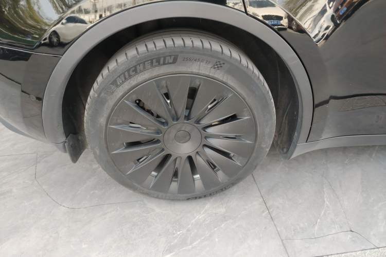 Used Tesla Model Y 2021 Standard Range Rear-Wheel Drive Version Exterior 8