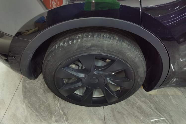 Used Tesla Model Y 2021 Standard Range Rear-Wheel Drive Version Exterior 8