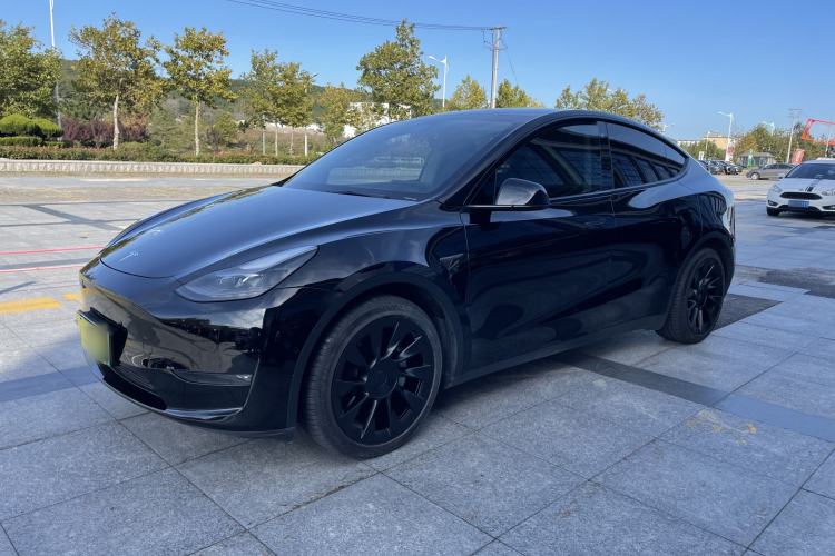 Used Tesla Model Y 2021 Standard Range Rear-Wheel Drive Version Exterior 9