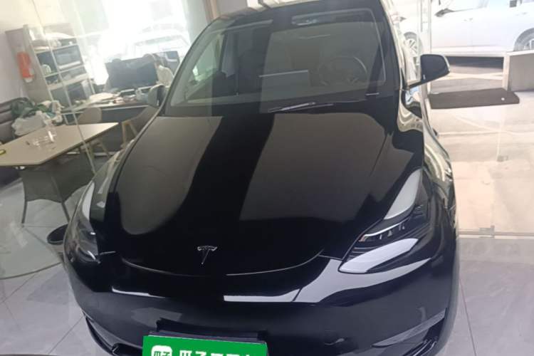 Used Tesla Model Y 2021 Standard Range Rear-Wheel Drive Version Front
