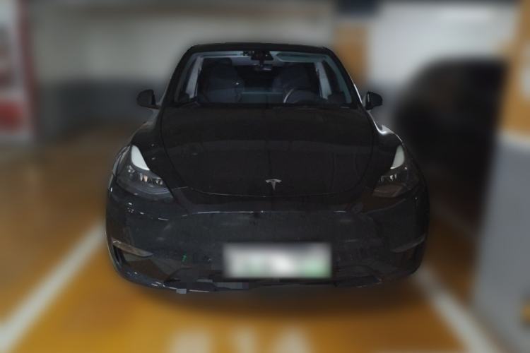 Used Tesla Model Y 2021 Standard Range Rear-Wheel Drive Version
