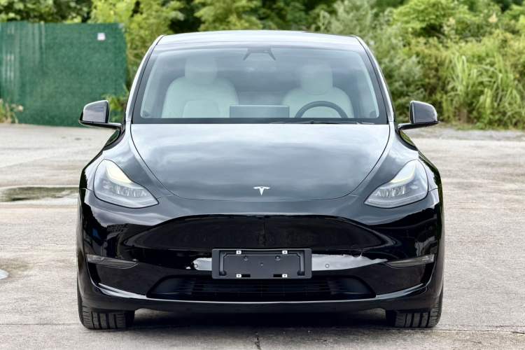 Used Tesla Model Y 2021 Standard Range Rear-Wheel Drive Version Front