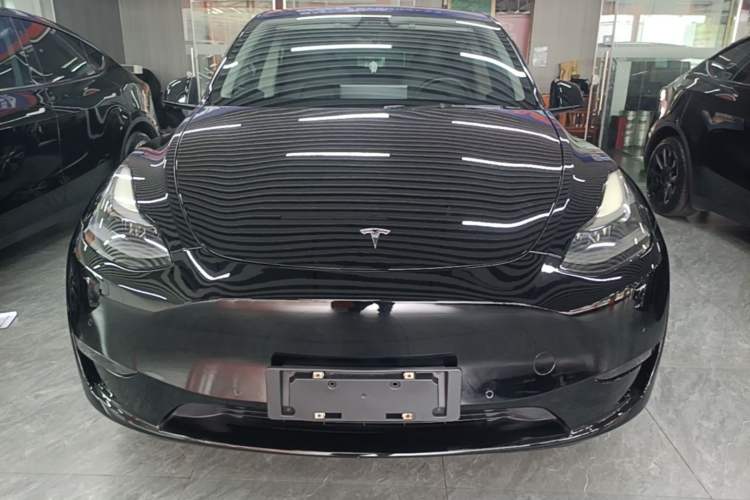 Used Tesla Model Y 2021 Standard Range Rear-Wheel Drive Version Front