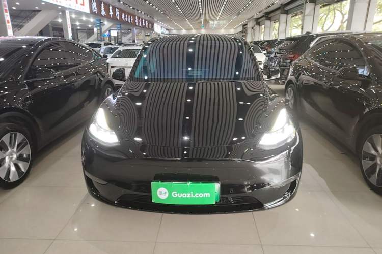 Used Tesla Model Y 2021 Standard Range Rear-Wheel Drive Version Front