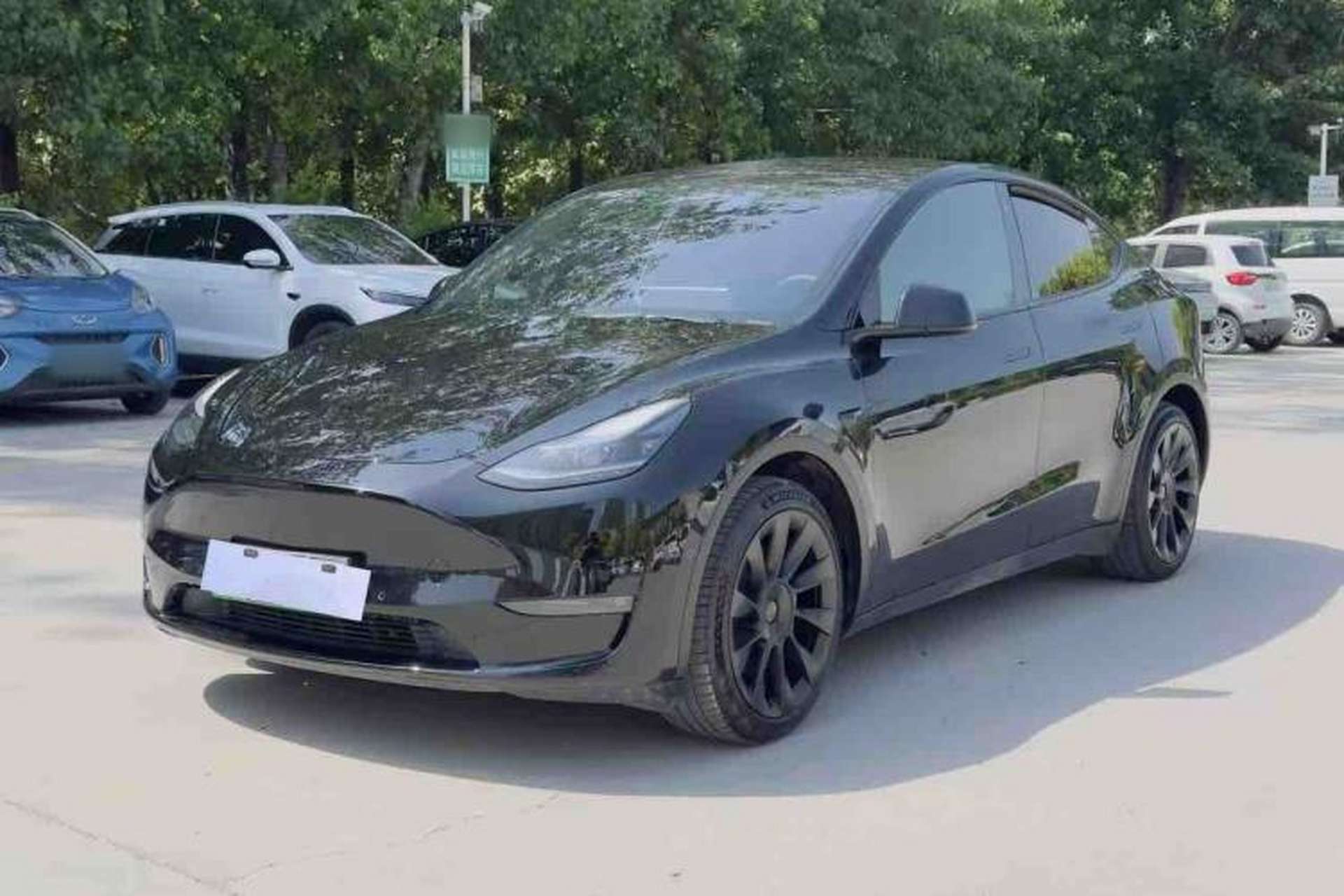 Used Tesla Model Y 2021 Standard Range Rear-Wheel Drive Version Front Left 45 Deg