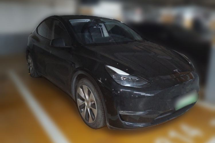 Used Tesla Model Y 2021 Standard Range Rear-Wheel Drive Version
