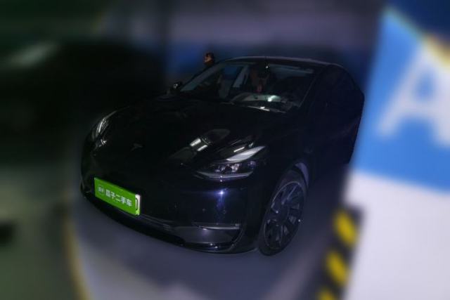 Used Tesla Model Y 2021 Standard Range Rear-Wheel Drive Version