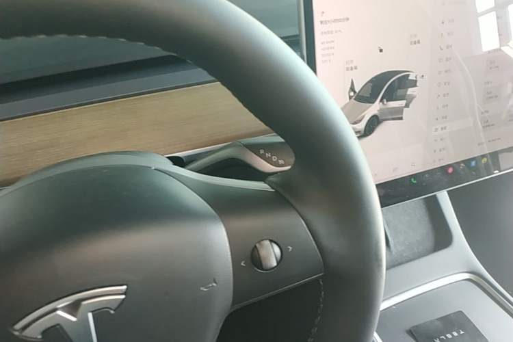 Used Tesla Model Y 2021 Long-Range All-Wheel-Drive Version 3D7 Gear Lever