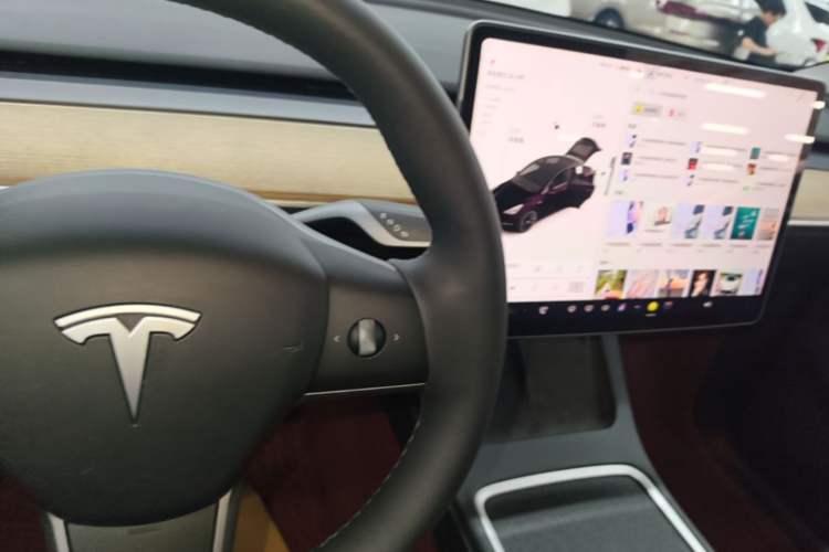 Used Tesla Model Y 2021 Standard Range Rear-Wheel Drive Version Gear Lever