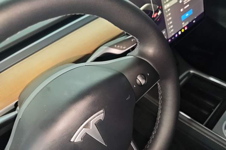 Used Tesla Model Y 2021 Standard Range Rear-Wheel Drive Version Gear Lever
