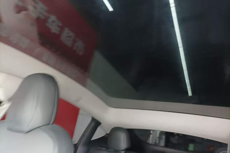 Used Tesla Model Y 2021 Standard Range Rear-Wheel Drive Version Headliner