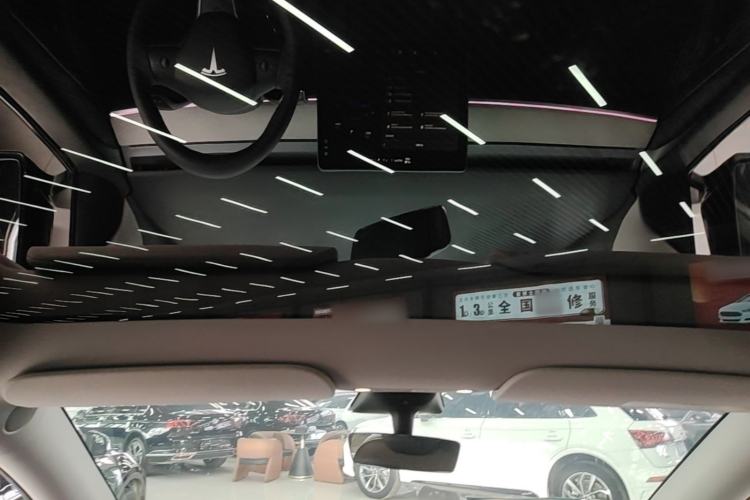 Used Tesla Model Y 2021 Standard Range Rear-Wheel Drive Version Headliner