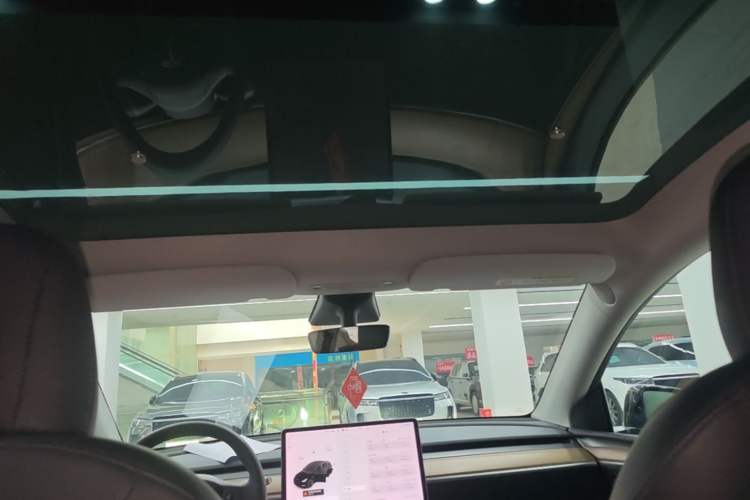 Used Tesla Model Y 2021 Standard Range Rear-Wheel Drive Version Headliner