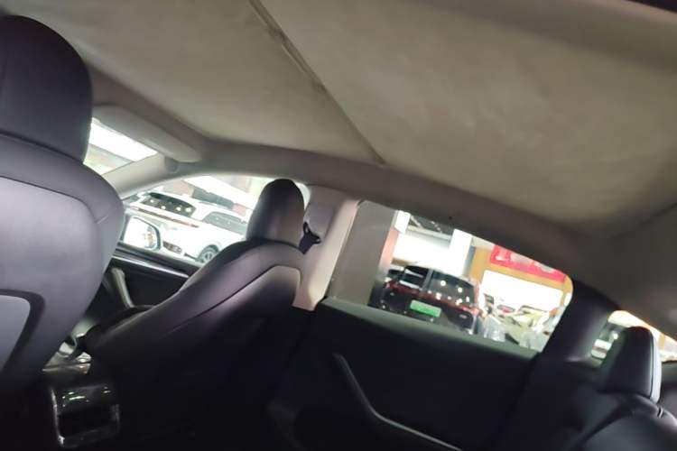 Used Tesla Model Y 2021 Standard Range Rear-Wheel Drive Version Headliner