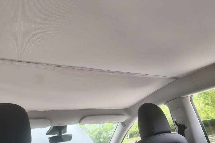 Used Tesla Model Y 2021 Standard Range Rear-Wheel Drive Version Headliner