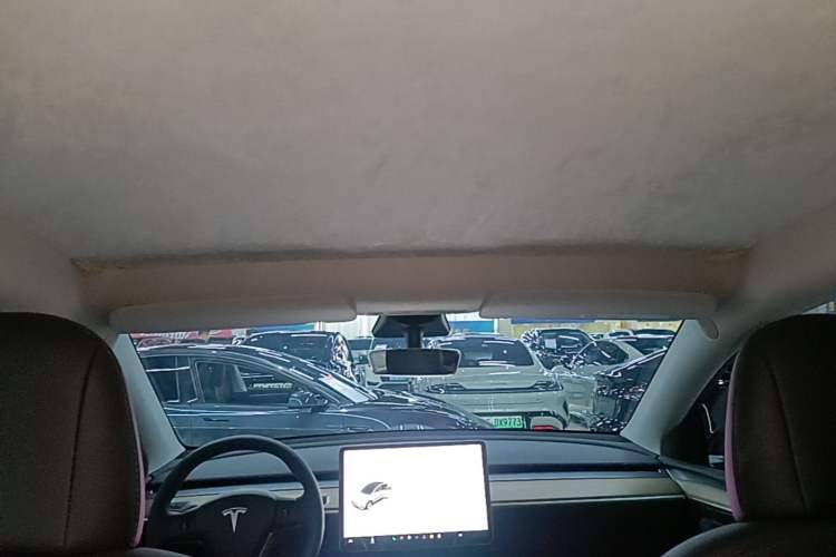 Used Tesla Model Y 2021 Standard Range Rear-Wheel Drive Version Headliner