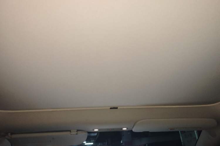 Used Tesla Model Y 2021 Standard Range Rear-Wheel Drive Version Headliner