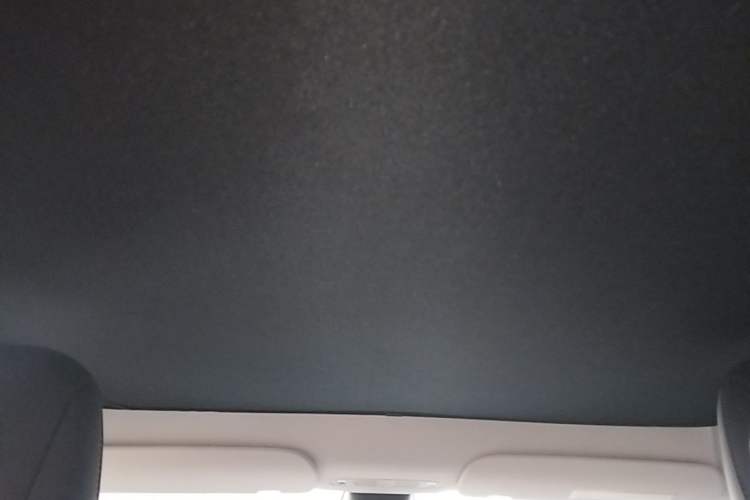 Used Tesla Model Y 2021 Standard Range Rear-Wheel Drive Version Headliner