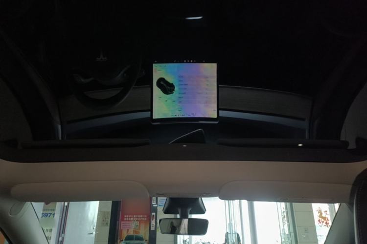 Used Tesla Model Y 2021 Long-Range All-Wheel-Drive Version Headliner