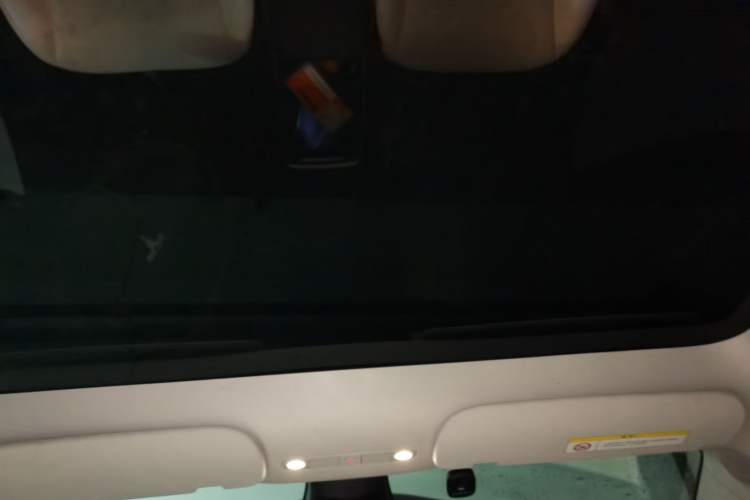 Used Tesla Model Y 2021 Standard Range Rear-Wheel Drive Version Headliner