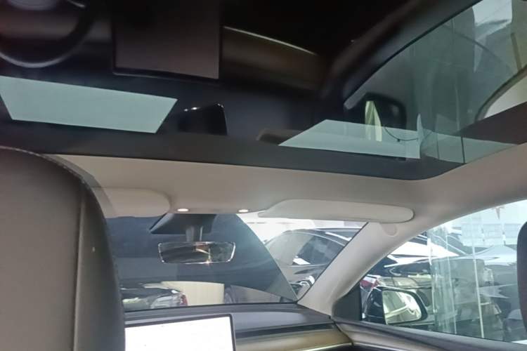 Used Tesla Model Y 2021 Standard Range Rear-Wheel Drive Version Headliner