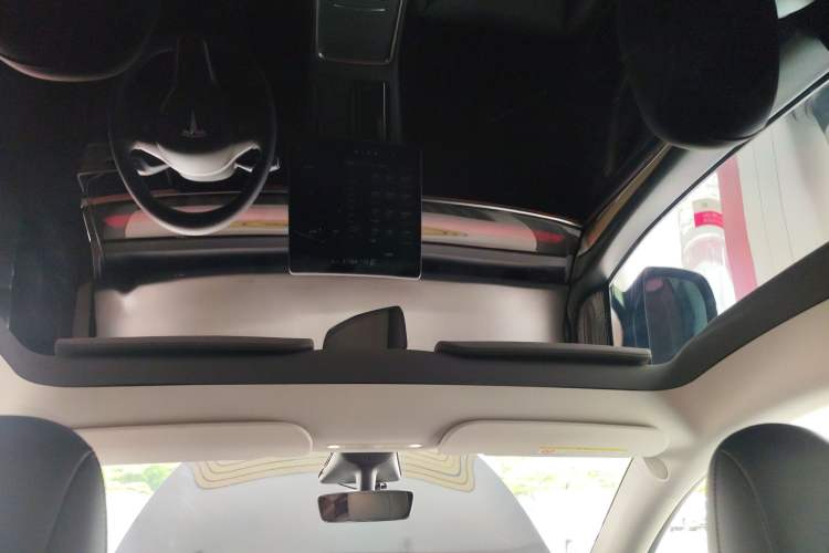 Used Tesla Model Y 2021 Long-Range All-Wheel-Drive Version Headliner