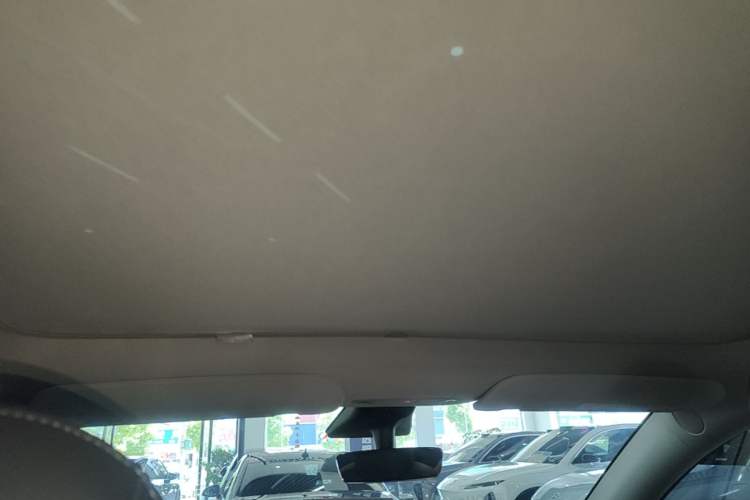 Used Tesla Model Y 2021 Standard Range Rear-Wheel Drive Version Headliner