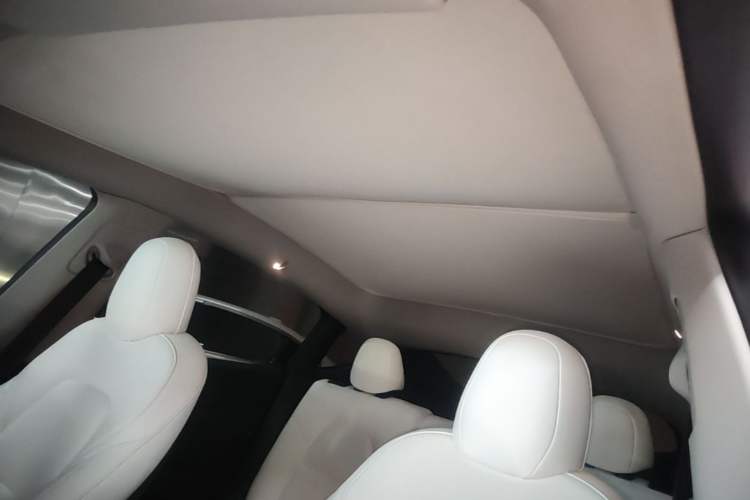 Used Tesla Model Y 2021 Performance High-Performance All-Wheel-Drive Version Headliner